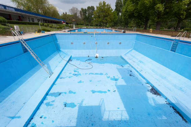 Best Mold removal after water damage  in Salyersville, KY
