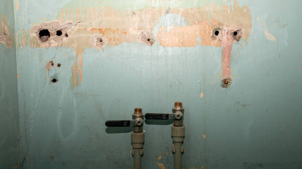 Best Commercial water damage restoration  in Salyersville, KY