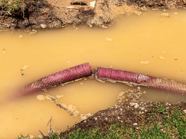 Best Emergency water damage restoration  in Salyersville, KY