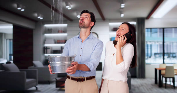 Best Water damage cleanup near me  in Salyersville, KY