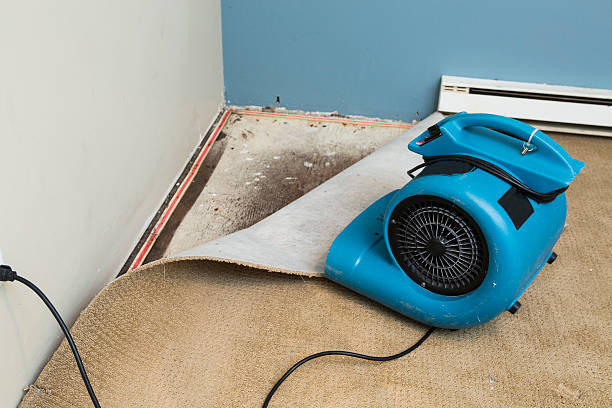 Best Water damage restoration near me  in Salyersville, KY